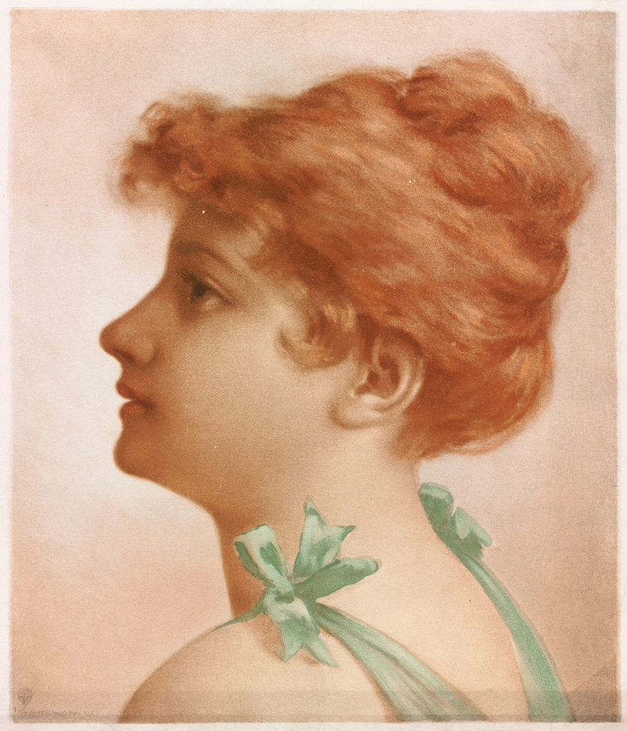 Pintura de perfil feminino